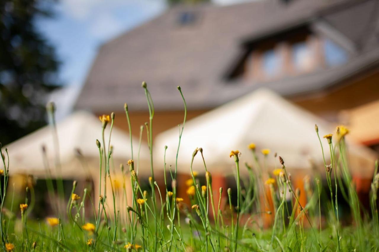 Villa Idylla Przesieka Dış mekan fotoğraf